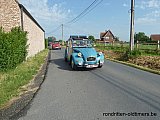 Zandlemig Vlaanderen